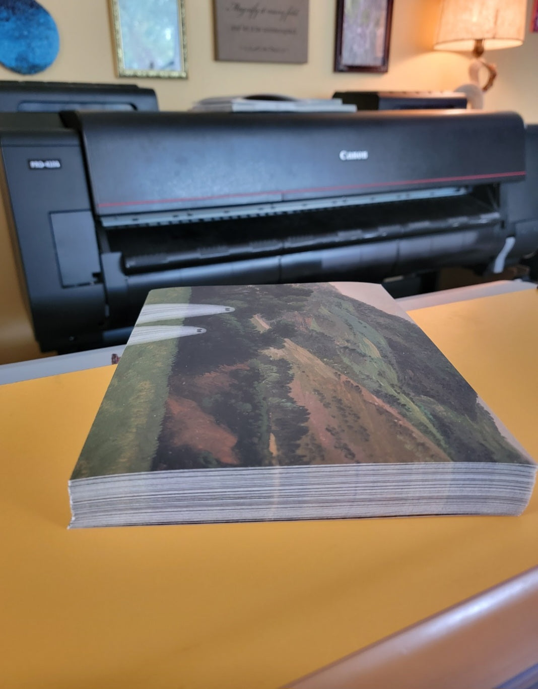 bulk order of prints - 20+ prints of the same size are 20% off